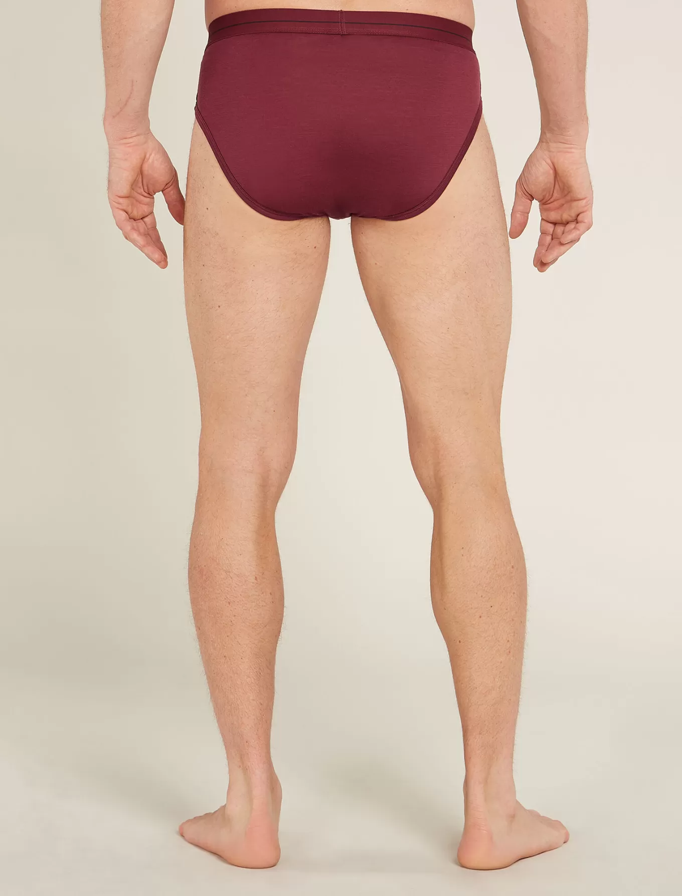 Flash Sale Icebreaker Merino Anatomica Slip Herren Port
