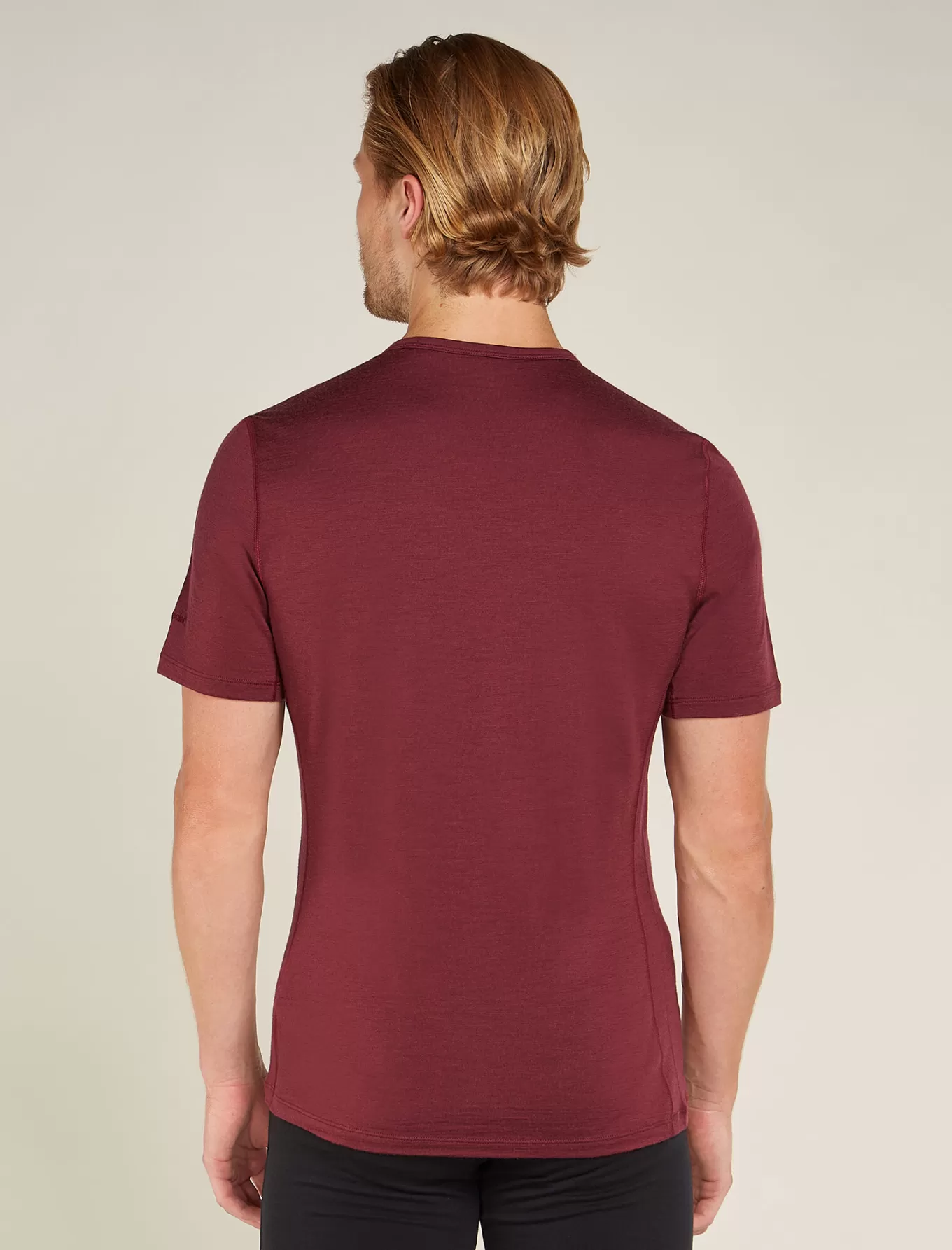 Shop Icebreaker Merino Anatomica T-Shirt Herren Port