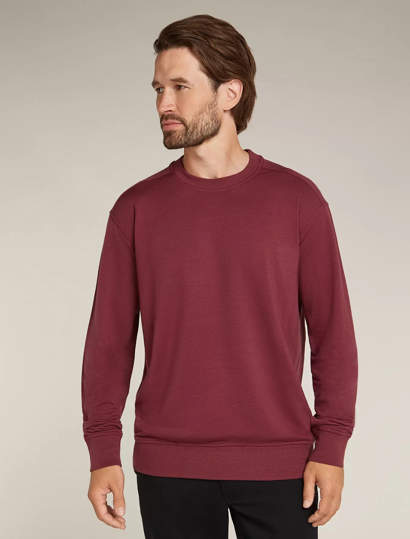 Online Icebreaker Merinomix Shifter II Sweatshirt Herren Port
