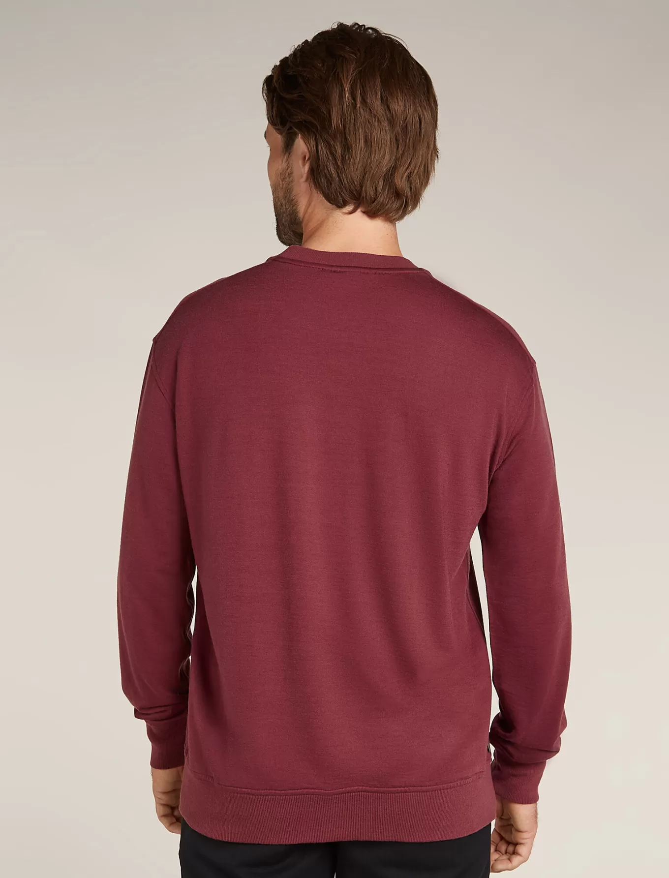 Online Icebreaker Merinomix Shifter II Sweatshirt Herren Port